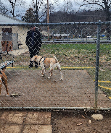 Dog park