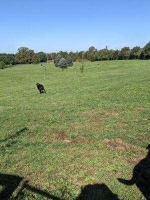 Coldstream Dog Park