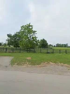Masterson Station Dog Park