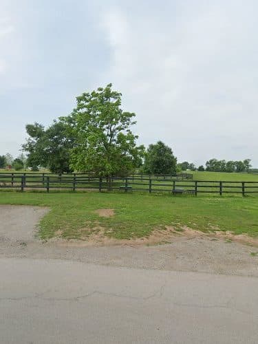 Masterson Station Dog Park