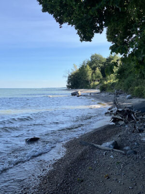 Sanilac County Lexington Park