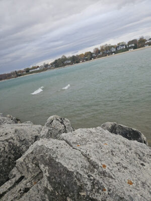 Tierney Park