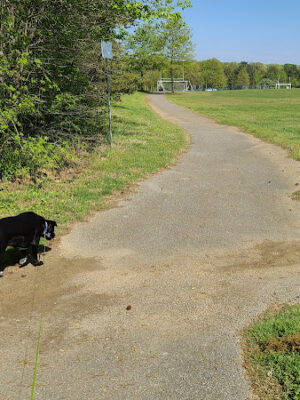 John G. Lancaster Park