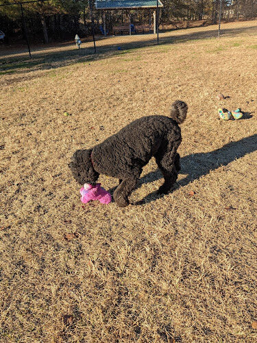 Lexington Paw Park (members only)