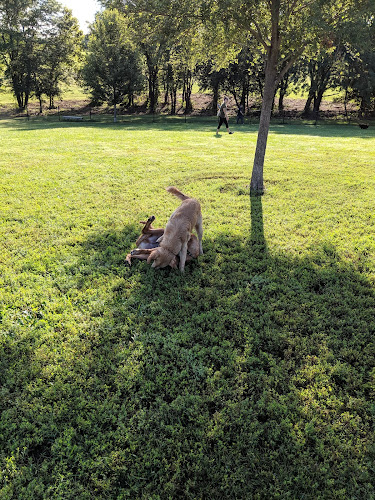Liberty Dog Park