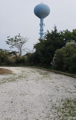 Lido Beach Passive Nature Area