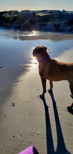Point Lookout Beach