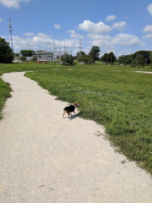 Rickman's Run at Holmes Lake Park