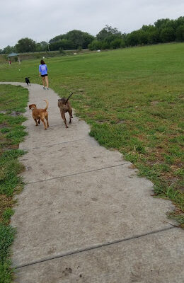 Roper East Dog Run
