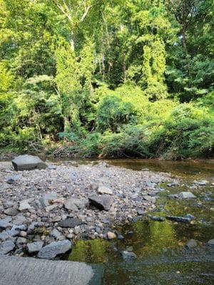 Holmes Run Stream Valley Park