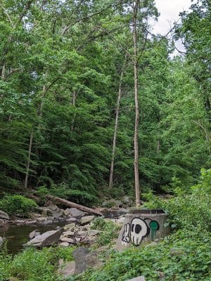 Holmes Run Stream Valley Park