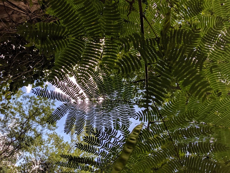 Holmes Run Stream Valley Park - Lincolnia, VA