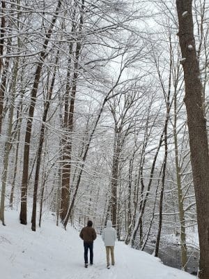 Holmes Run Stream Valley Park