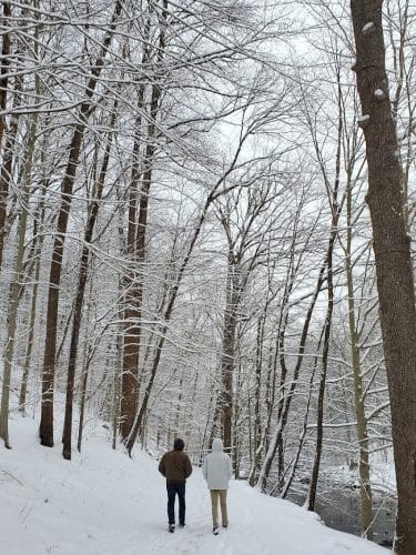 Holmes Run Stream Valley Park