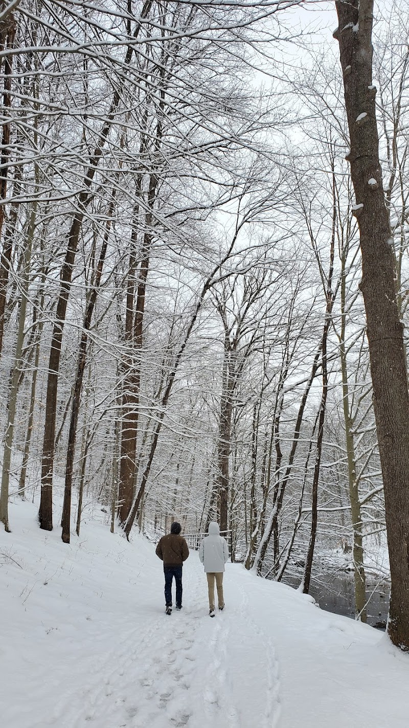 Holmes Run Stream Valley Park - Lincolnia, VA