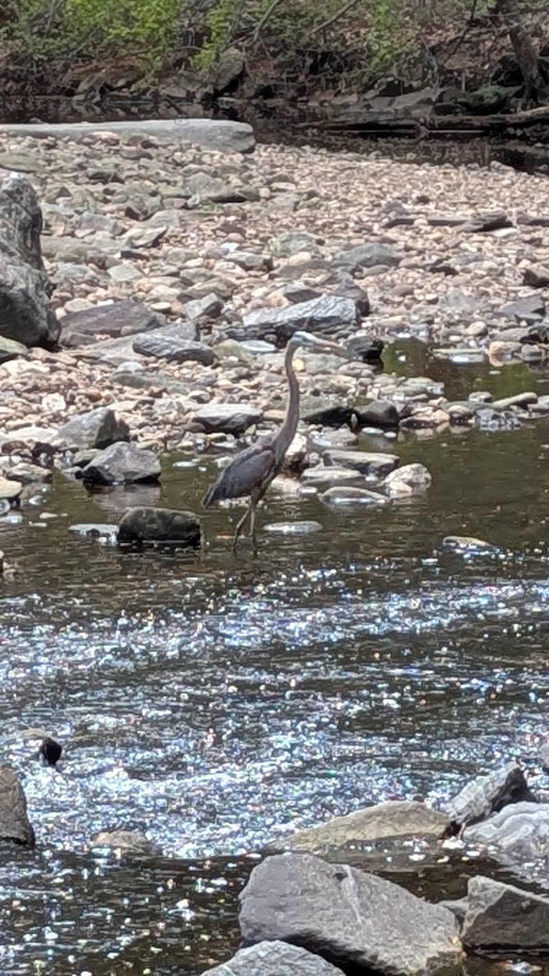 Holmes Run Stream Valley Park - Lincolnia, VA