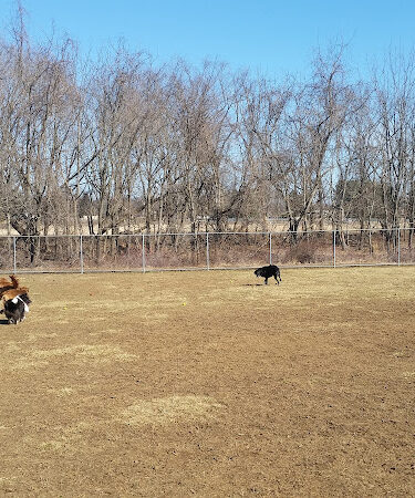 Thompson Park Off-Leash Dog Area