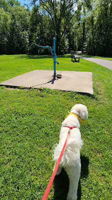 Linden County Park