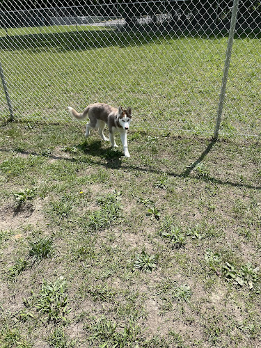 Lindenwold Dog Park
