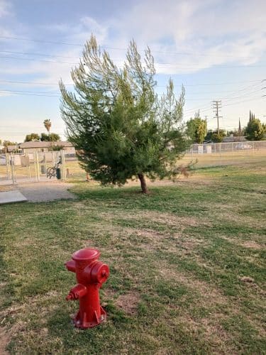 Lindsay Kiwanis Paw Park