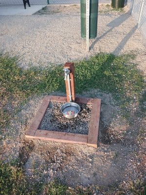 Lindsay Kiwanis Paw Park