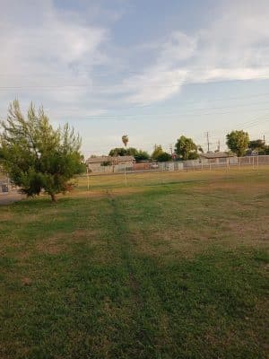 Lindsay Kiwanis Paw Park