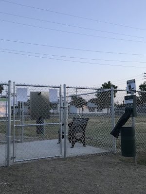 Lindsay Kiwanis Paw Park