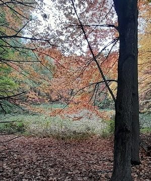 Allemansrätt park