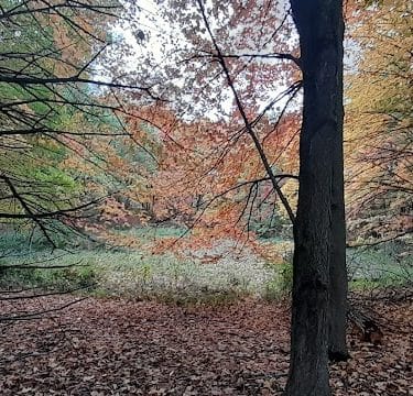 Allemansrätt park