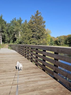 Allemansrätt park