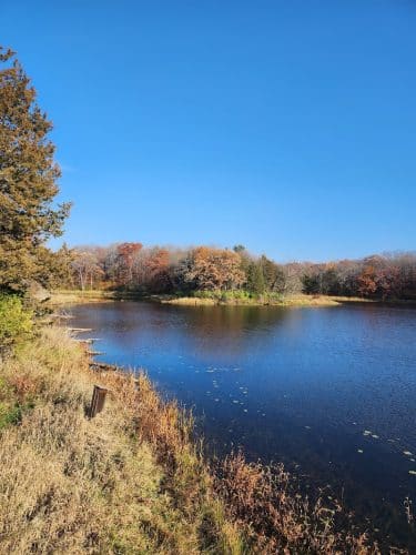 Allemansrätt park