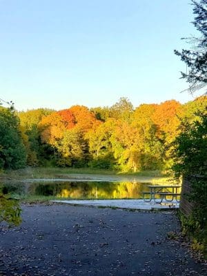 Allemansrätt park