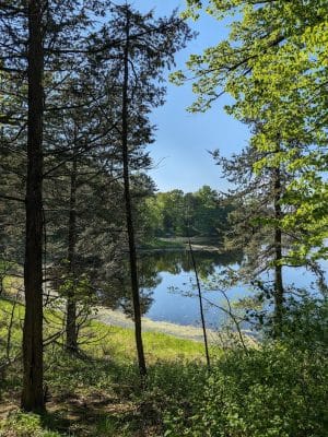 Allemansrätt park