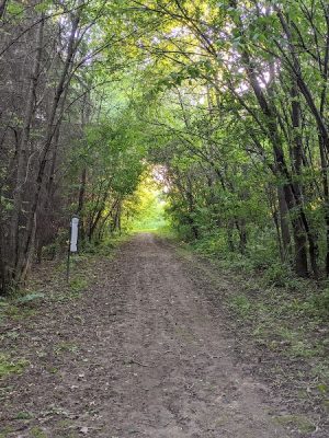 Ki Chi Saga County Park