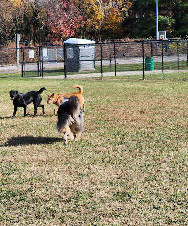 Overlook Dog Park