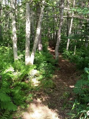 Jimmy Stream Conservation Area
