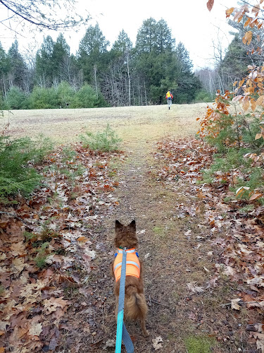 Small Burnham Conservation Area - Litchfield, ME