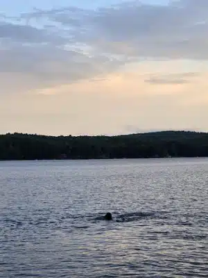 Woodbury Pond Park - Litchfield, ME