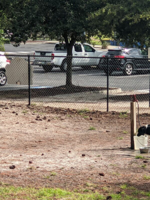 Waggin' Tales Dog Park