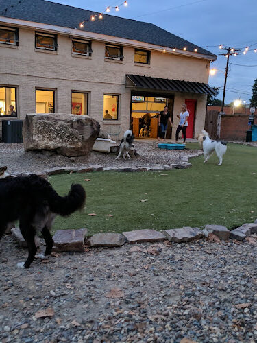 Bark Bar