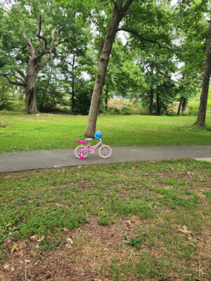 Butler Park