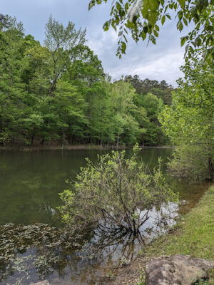Lakeside trail