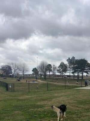 MacArthur Dog Park