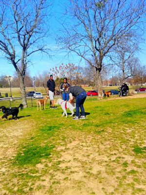 MacArthur Dog Park and Recreation