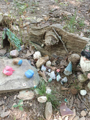 Rock Garden