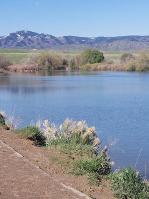 Chatfield Dog Park