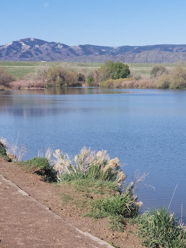 Chatfield Dog Park