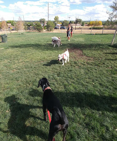 Wynetka Ponds Bark Park