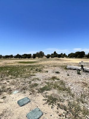 Livermore Canine Park