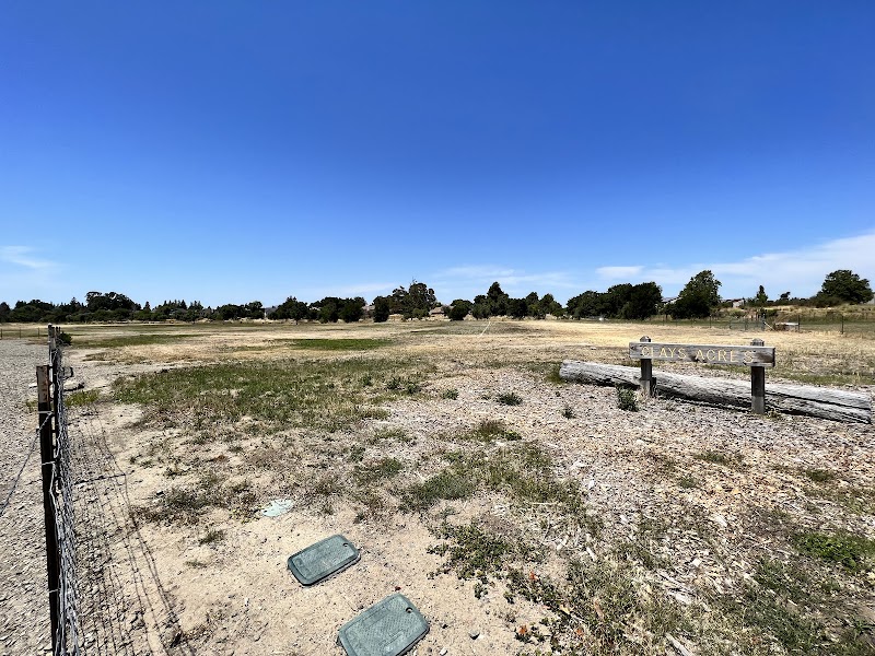 Livermore Canine Park - Livermore, CA